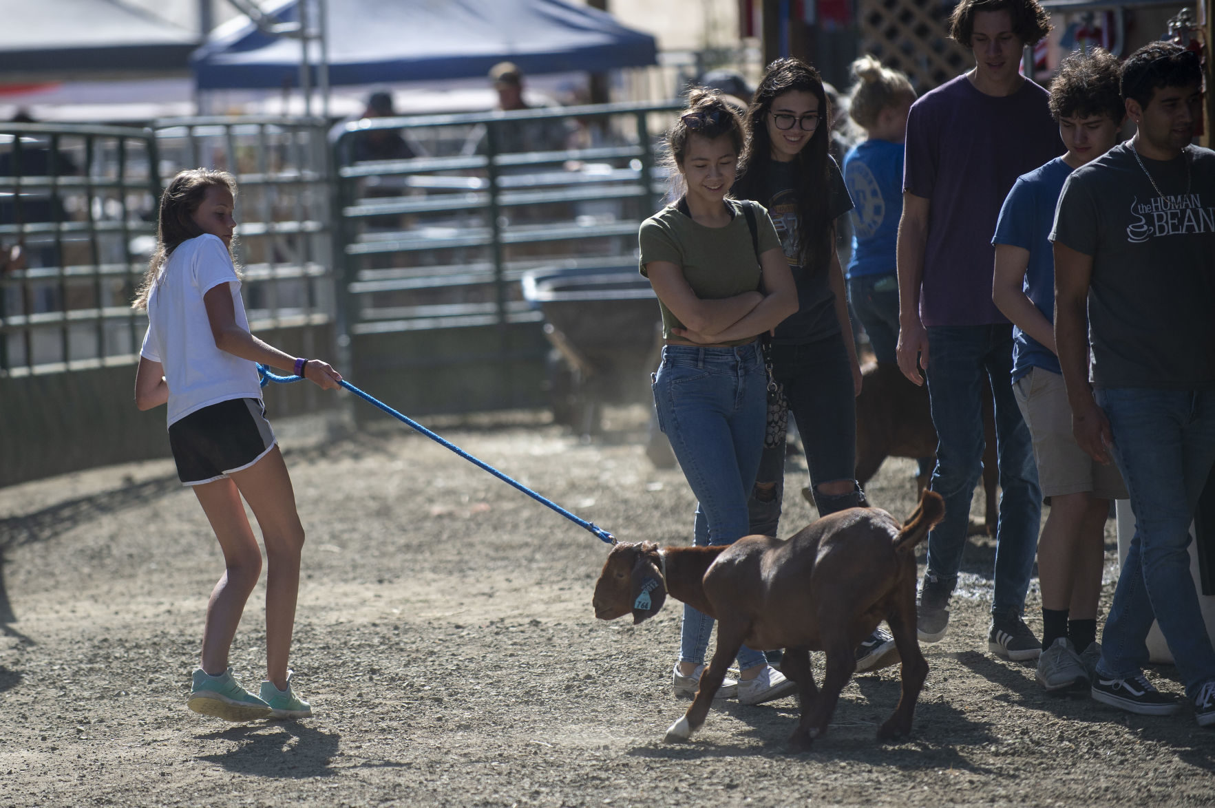 Coos County Fair